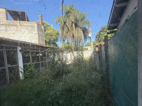 SALADILLO al 1100