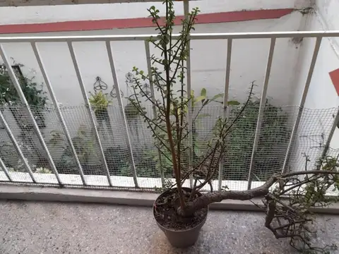 Departamento en Venta 60 años