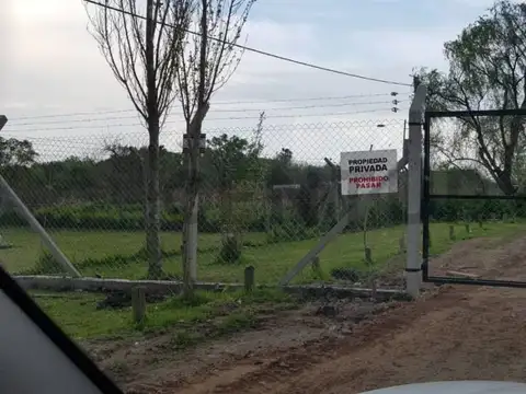 50 y 177 Lote en venta Hectareas Berisso