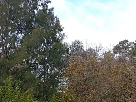 Terreno en Venta en Colonia Santa Rosa, USD 18.000