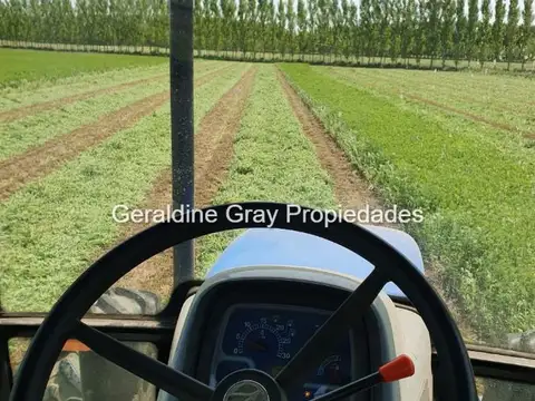 Campo en venta de 70 has ubicado en Tratayen