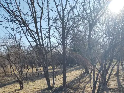 Terreno en Venta, FOS 30