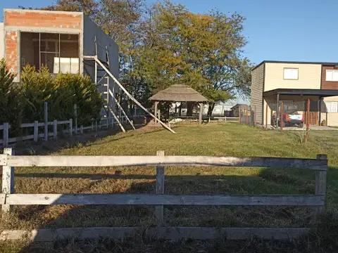 Pigüe 100