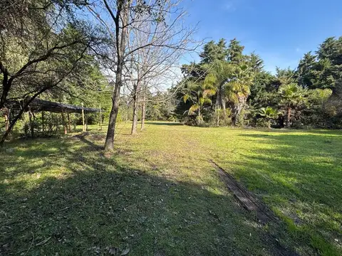 Chacra con frutales y gran espacio verde