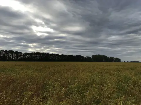 Campo - Venta - Argentina, Luján