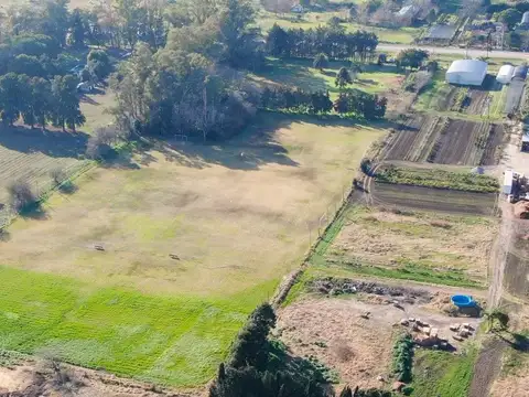 LOTE INDUSTRIAL RODRIGUEZ 3 HECTAREAS