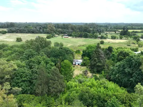 Chacra en Los Cardales Apta Subdivisión