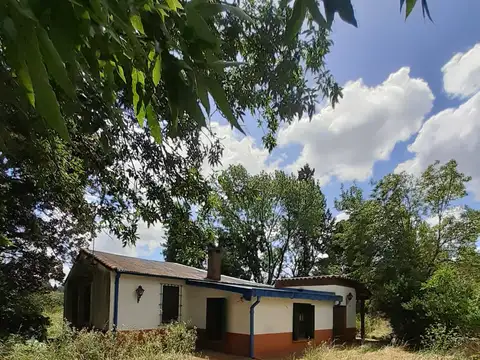Campo en Venta de 1  ha