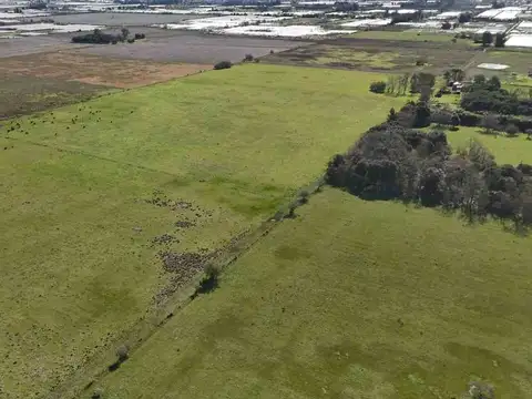 CAMPO DE 19,75 HAS. IDEAL HORTICOLA. ETCHEVERRY