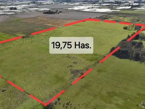 CAMPO DE 19,75 HAS. IDEAL HORTICOLA. ETCHEVERRY