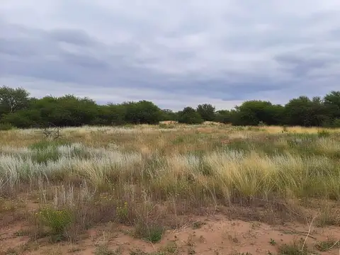 Terreno en C. Elva Cayupán 