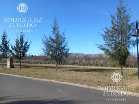Ruta 25