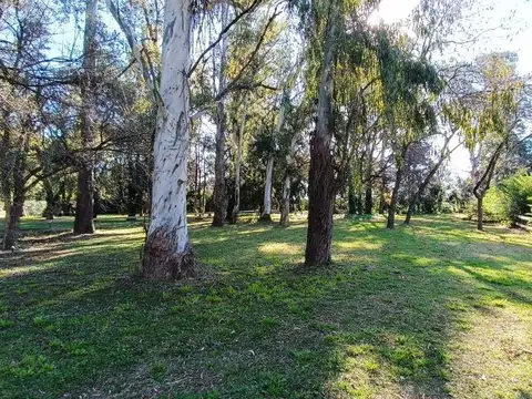 Terreno en Venta de 1649,0 m2