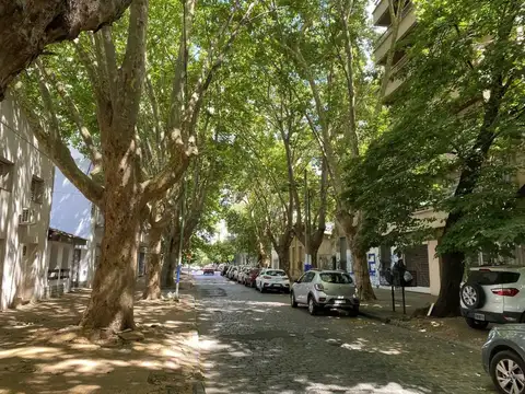 Terreno en Venta de 300,0 m2