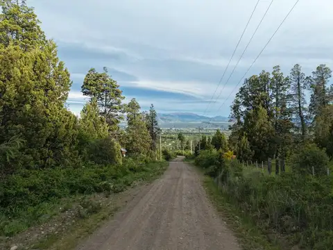 Callejon Palma - parcela 82