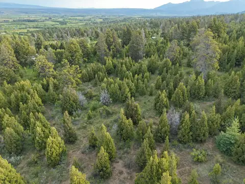 Terreno en Venta 55  mts Frente