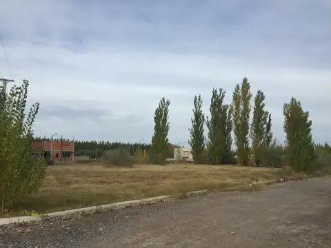 Terreno en Venta en Centenario, USD 34.000