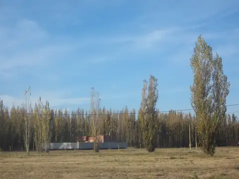 Terreno en venta en Centenario (Casco Viejo) (La zona mas segura) escritura / Todos los Servicios.