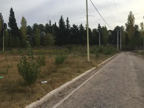 Terreno en Venta, FOT 1,5