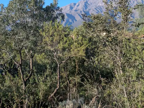 Terreno en Venta en Yacanto, USD 35.000