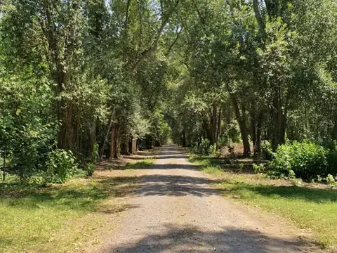Lote 7.000 m² frente al casco | La Bequerencia | San Miguel del Monte