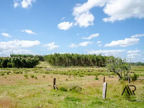 Campo en venta de 72has ubicado en Canelones