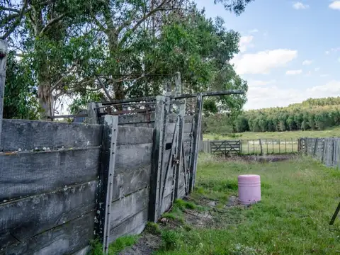 Campo en venta de 72has ubicado en Canelones