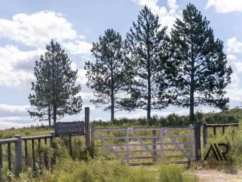 Campo en venta de 72has ubicado en Canelones