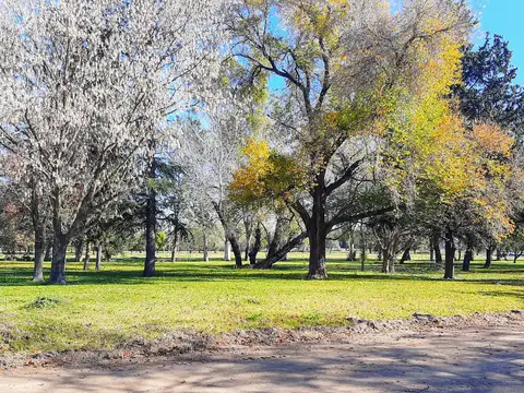Terreno en Venta en Manuel Alberti, USD 85.000