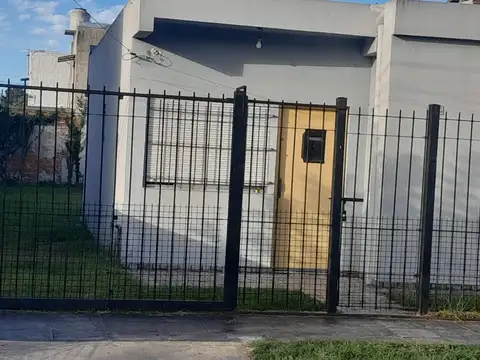 Caraguata 200