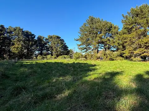 calle 49 entre 30 y 32