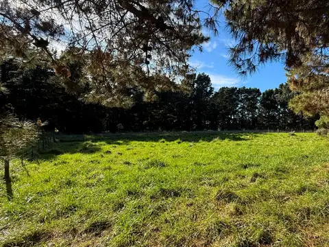 Terreno en Venta en El Marquesado, Mar del Plata