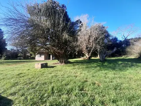 La Mariquita 500