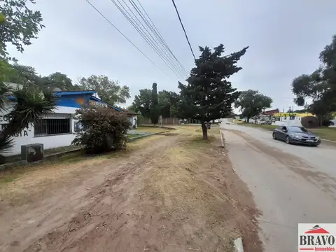 Boulevard 100
