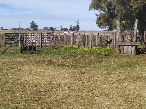 Excelente Campo Mixto de 155 Has con mejoras