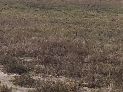 Campo en Venta en Maximo Fernandez, Partido de Bragado