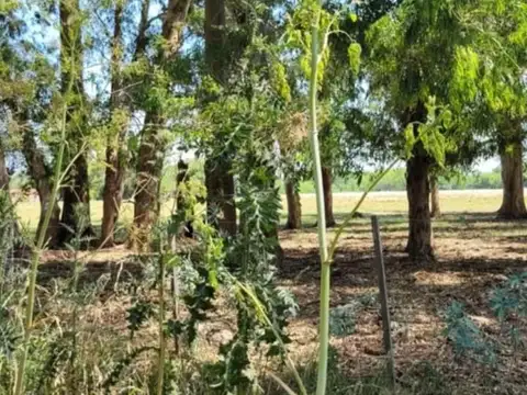 Terreno en Venta en Exaltacion De La Cruz, USD 25.000