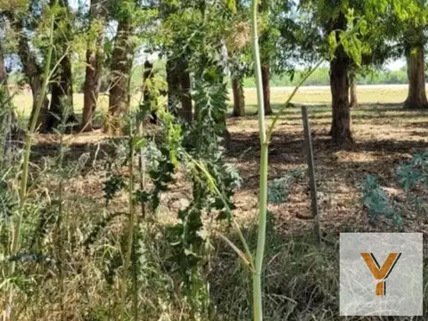 Terreno en Venta en Exaltación de la Cruz, USD 25.000