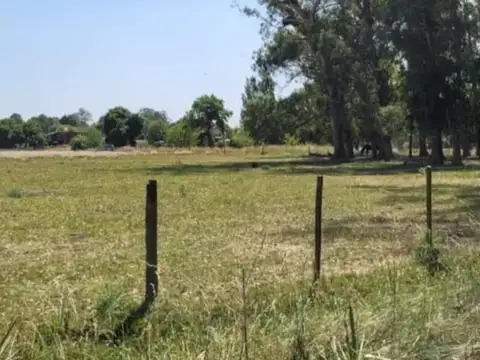 Terrenos en venta - 1500Mts2 - Exaltación de La Cruz