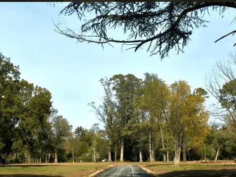 Lote, venta, Barrio Parque El Remanso, Pilar