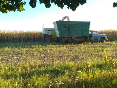 GENERAL ALVEAR -