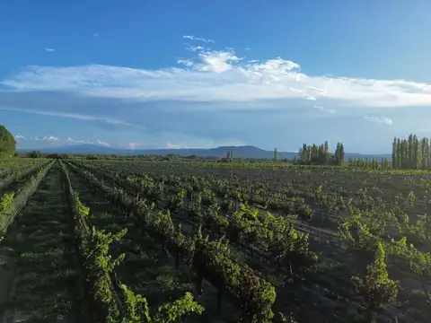 Finca - San Rafael