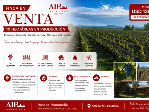 Finca - San Rafael