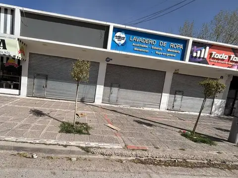 Local en Alquiler 10 años
