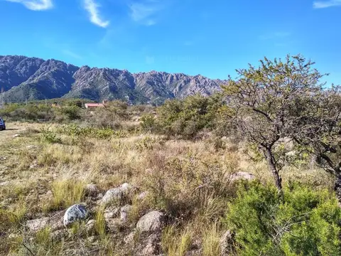 Terreno Campo  en Venta ubicado en Cortaderas, Chacabuco - LAN0248_LP359398_4