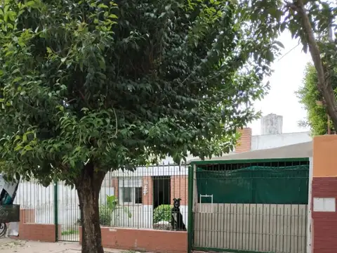 SENILLOSA 100