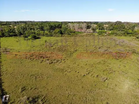 Terreno en Venta 193  mts Fondo