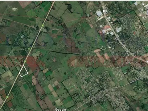 Ruta 6 100