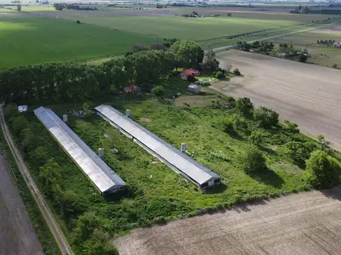 Campo en Oliveros
