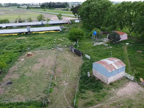 Campo en Oliveros